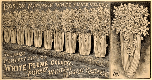 When did things stop being&nbsp;mammoth?