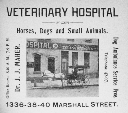 advertisement, Philadelphia, J. J. Maher Veterinary Hospital, 1336 1340 Marshall Street, horses, dogs, small animals, ambulance service